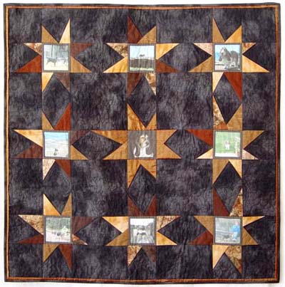 Stellar Hound quilt