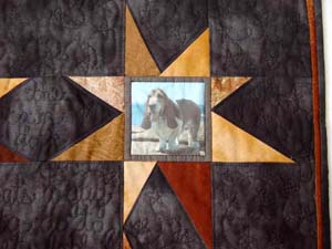 Stellar Hound detail